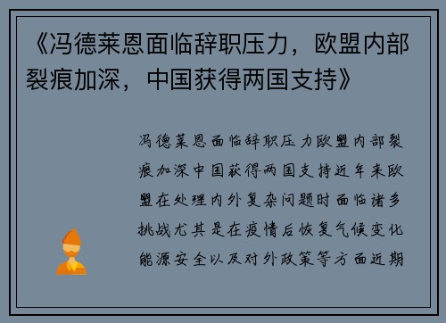 《冯德莱恩面临辞职压力，欧盟内部裂痕加深，中国获得两国支持》